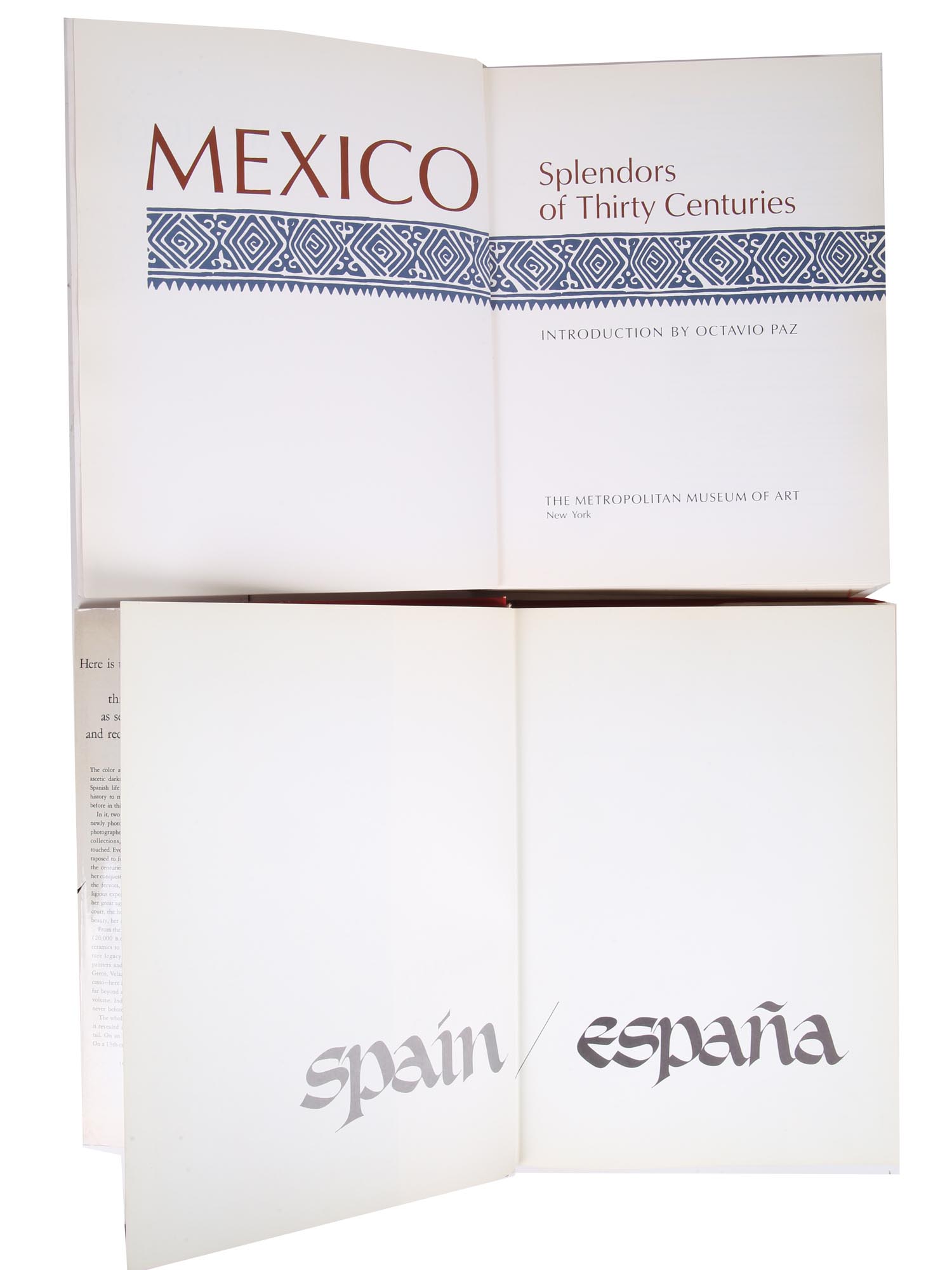 VINTAGE SPAIN MEXICO MODERN ART BOOK COLLECTION PIC-5